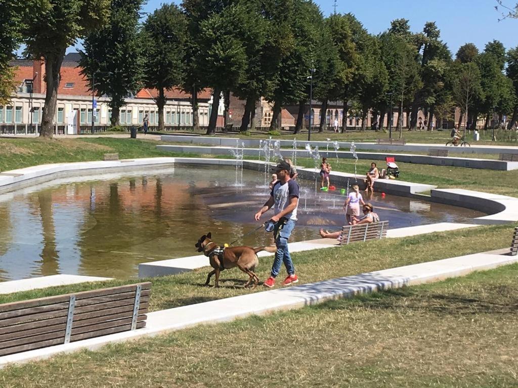 Villa Domus XIX Tongeren Εξωτερικό φωτογραφία
